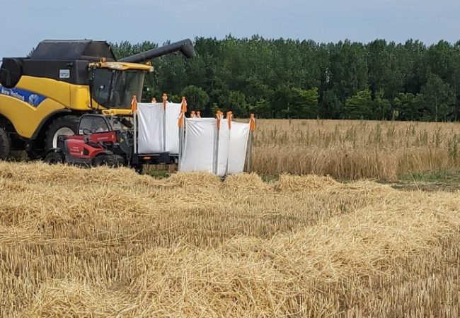 Het Traagste Brood. 2